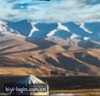 杨总